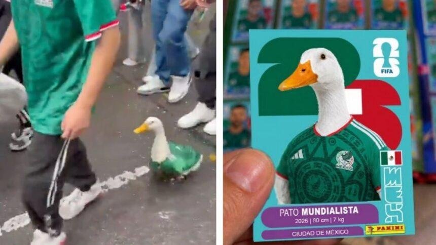 El pato con playera de la Selección Mexicana arrasa en redes sociales