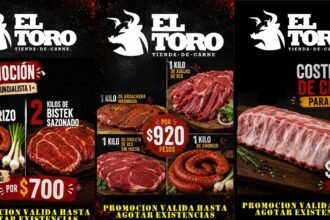 el toro