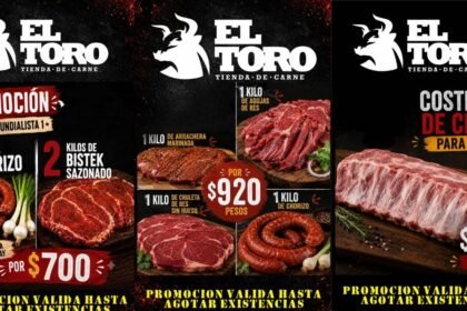 el toro