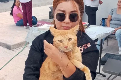 Esterilización gratuita de mascotas en Aguascalientes: 90 espacios disponibles