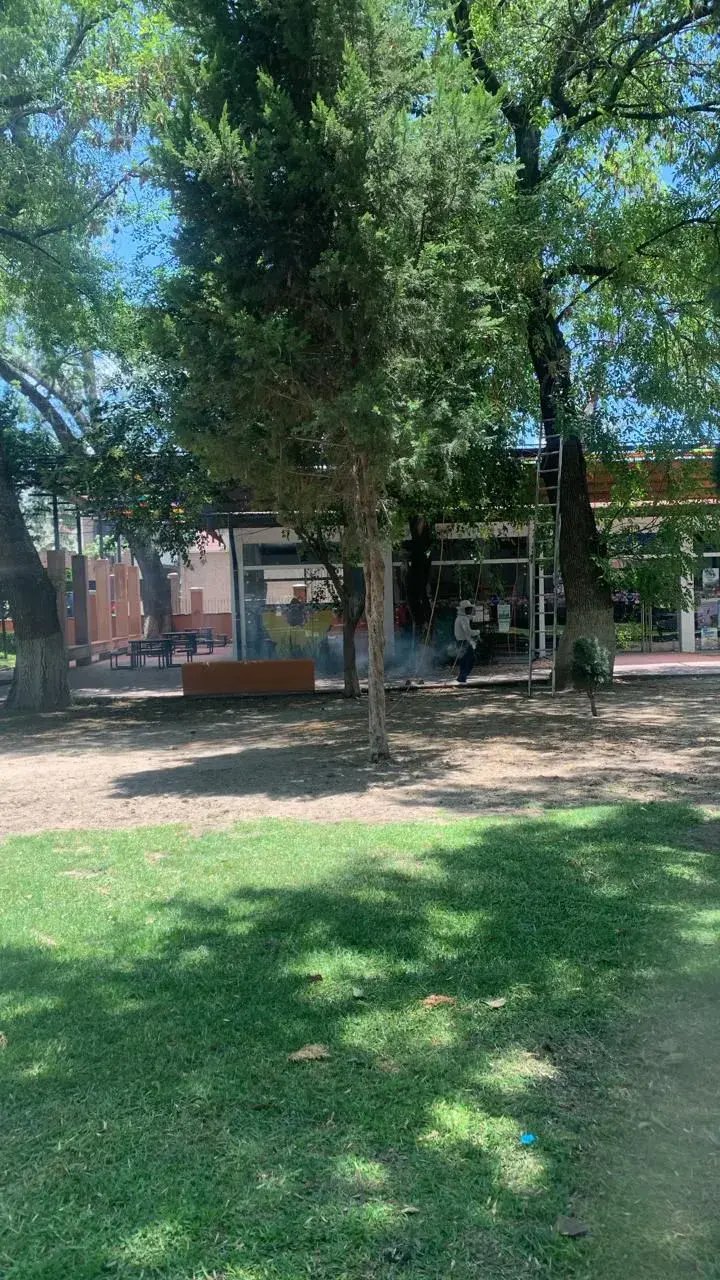 Fallece joven en Guanajuato por picaduras de abeja; otros nueve afectados