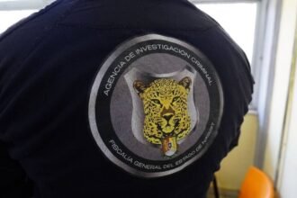Fiscal de Nayarit reconoce comunicación entre agentes activos y crimen organizado.
