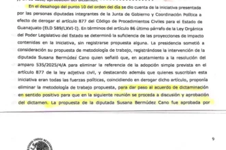 Guanajuato: Atraso en análisis de iniciativas de despenalización del aborto
