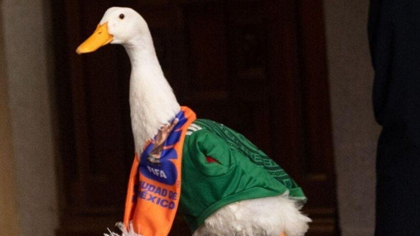 IMPI confirma que la marca del Pato Merlín es de su familia.