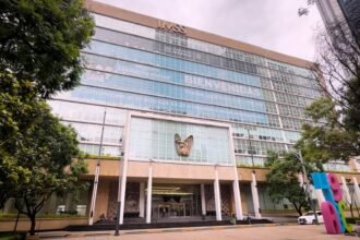 IMSS ordena limitar traslados y ajustar servicios para contener gastos médicos