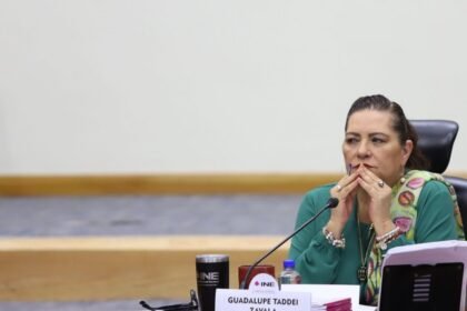 INE analiza la convalidación de cuatro nuevos partidos políticos