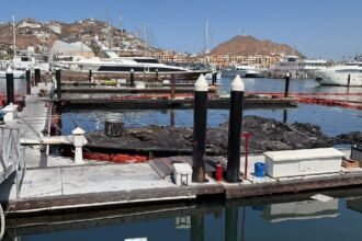 Inician investigación por incendio de embarcaciones en Cabo San Lucas y hallazgo de cuerpo.