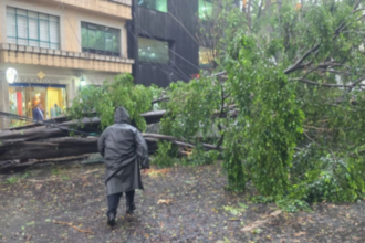 Inundaciones en Anillo Periférico y caída de árboles por lluvias en CDMX