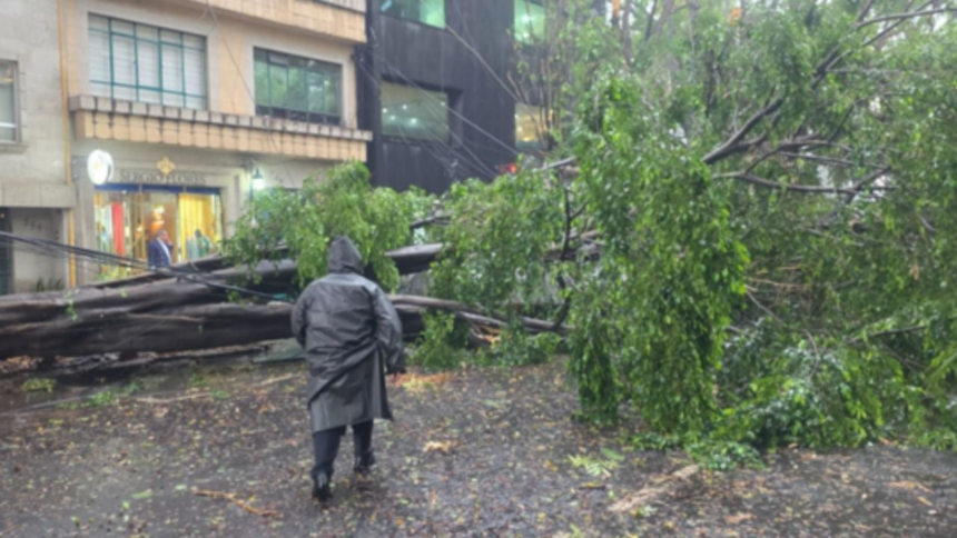 inundaciones en anillo periferico y caida de arboles por lluvias Inundaciones en Anillo Periférico y caída de árboles por lluvias en CDMX