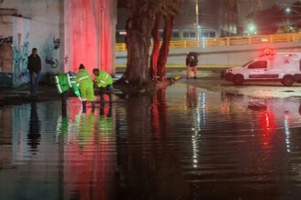 Inundaciones y caída de árboles en CDMX tras fuertes lluvias y tormentas pronosticadas.