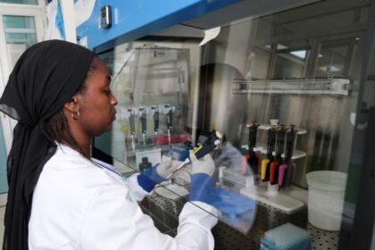 La OMS considera declarar el fin del brote de hantavirus en América Latina