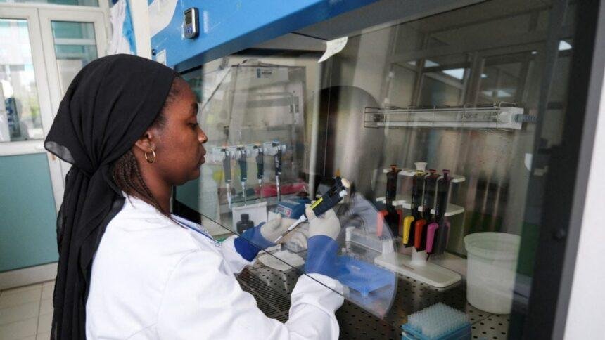 La OMS considera declarar el fin del brote de hantavirus en América Latina