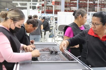 León destaca en exportaciones con crecimiento significativo en primer trimestre de 2026.
