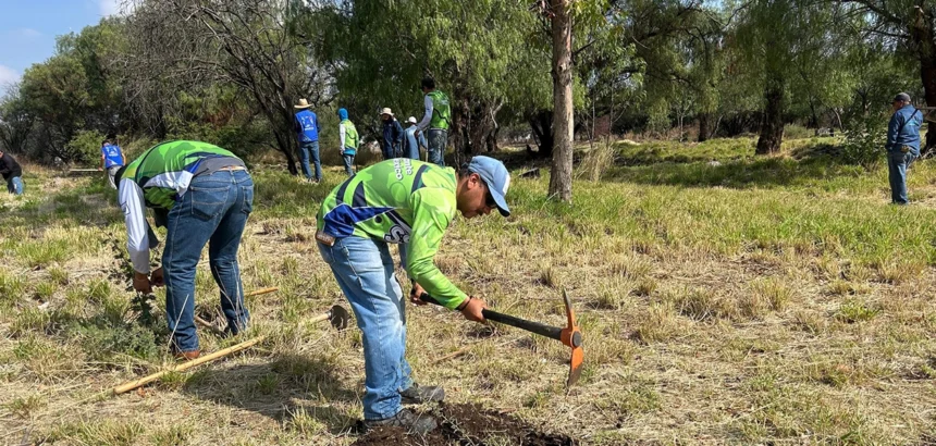 Limpieza en "La Pona": Mejora del pulmón verde en Aguascalientes