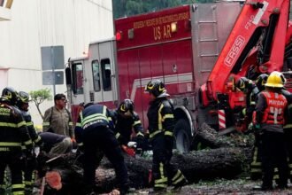 Lluvias en CDMX causan daños significativos: árboles caídos y encharcamientos