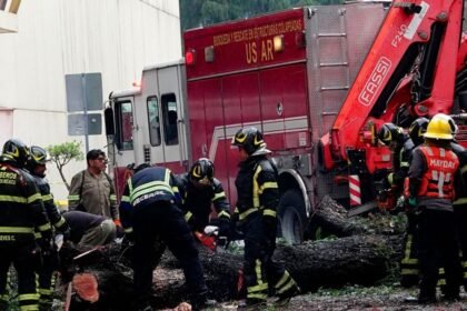 Lluvias en CDMX causan daños significativos: árboles caídos y encharcamientos