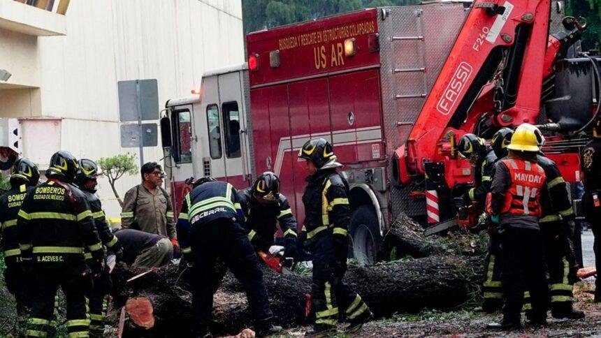 Lluvias en CDMX causan daños significativos: árboles caídos y encharcamientos