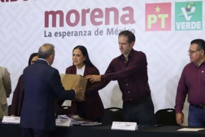 morena pt y verde abren candidaturas a 17 gobiernos estatales Morena, PT y Verde abren candidaturas a 17 gobiernos estatales para 2027.