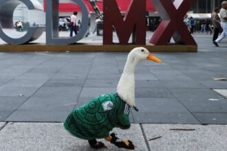 Pato Merlín es embajador oficial del Mundial 2026 en Ciudad de México