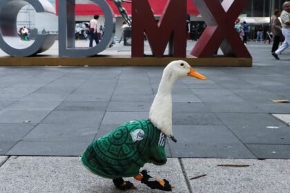pato merlin es embajador oficial del mundial 2026 en ciudad Pato Merlín es embajador oficial del Mundial 2026 en Ciudad de México