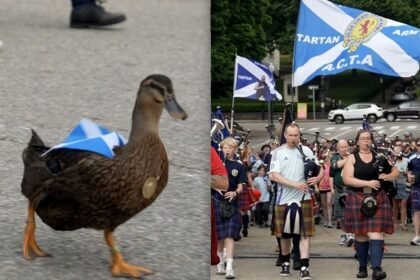 Pato se une a fans escoceses en apoyo a su selección del Mundial 2026