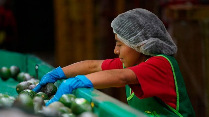 Pérdida de casi 30 mil empleos formales en México durante mayo