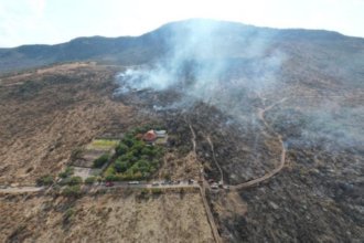 Plantan mil árboles en Cerro del Palenque, Purísima, tras incendios.