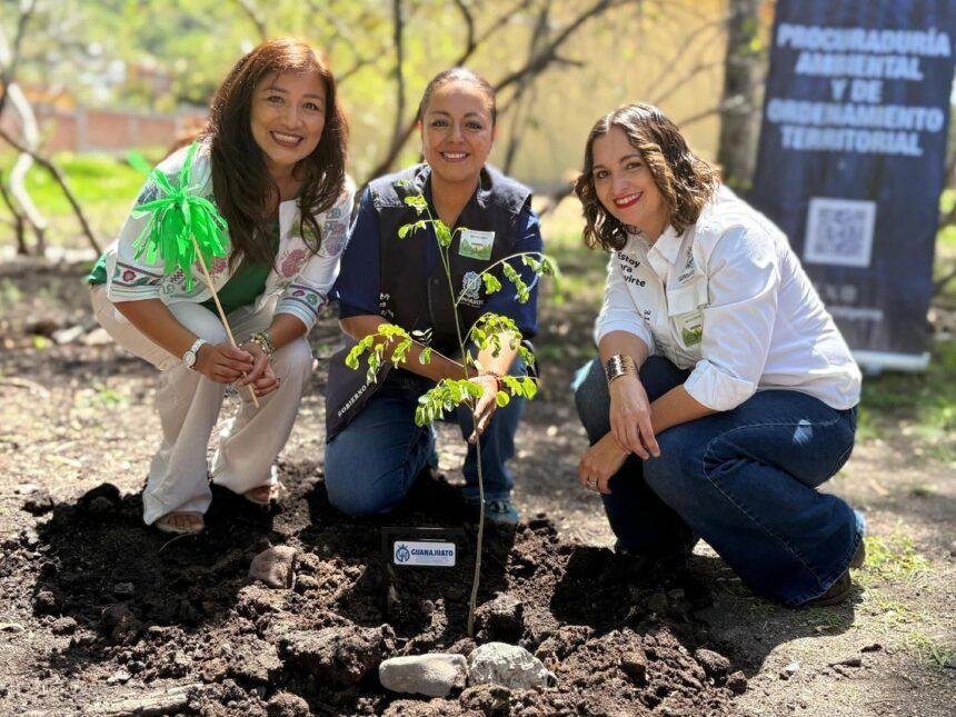 Procuraduría Ambiental lanza jornada de arborización en el estado.