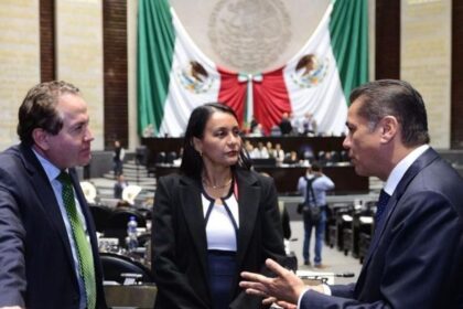 pvem impulsa endurecimiento de castigos por delitos ambientales tras rescate PVEM impulsa endurecimiento de castigos por delitos ambientales tras rescate de pericos