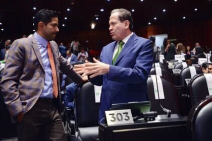 pvem plantea sanciones mas severas por delitos ambientales crecientes PVEM plantea sanciones más severas por delitos ambientales crecientes