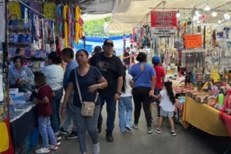 Querétaro: Estabilidad en Comercios Pequeños Durante el Primer Semestre