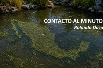 rolando 39