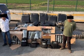 Salamanca: Aseguran 461 mil dosis de marihuana en Cerro Gordo