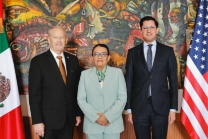 segob y sre se encuentran con ronald johnson durante negociaciones Segob y SRE se encuentran con Ronald Johnson durante negociaciones del T-MEC