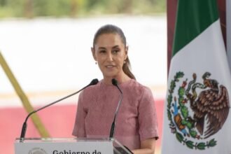 Sheinbaum declara que conservar el maíz nativo defiende la soberanía nacional.