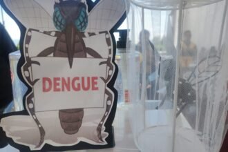 SSG informa reducción del 60 por ciento en casos de dengue.