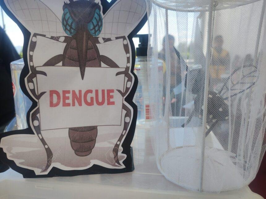 SSG informa reducción del 60 por ciento en casos de dengue.