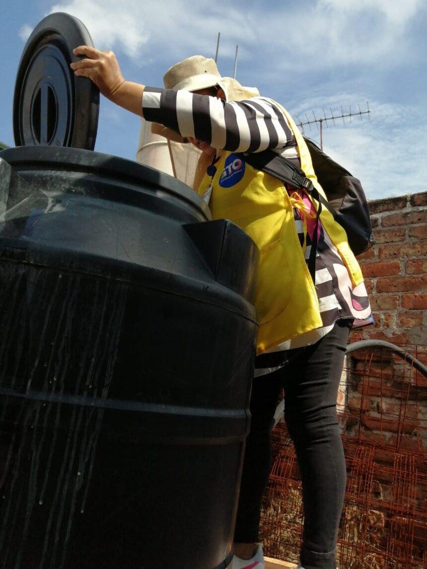 SSG reporta disminución del 81% en casos de dengue este año.