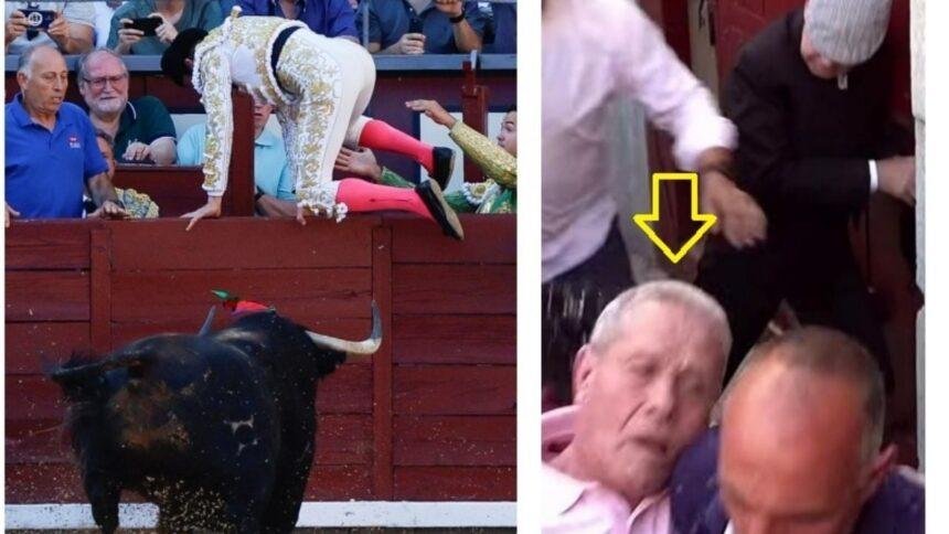 Toro escapa en Las Ventas y hiere a un trabajador de la plaza