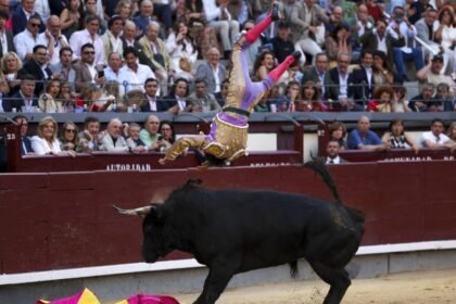 Víctor Hernández arrastrado por un toro en Las Ventas