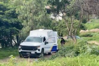 Abandonan restos de dos víctimas con huellas de violencia en León.