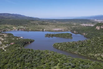 Aguascalientes: Lluvias Benefician Cultivos y Crecimiento Agrícola
