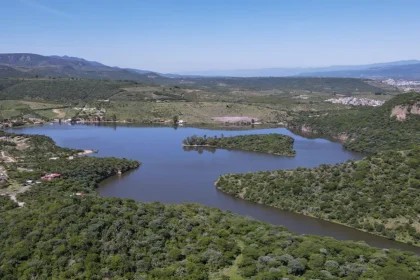 Aguascalientes: Lluvias Benefician Cultivos y Crecimiento Agrícola
