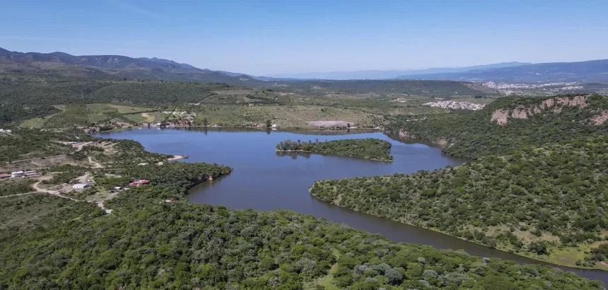 Aguascalientes: Lluvias Benefician Cultivos y Crecimiento Agrícola