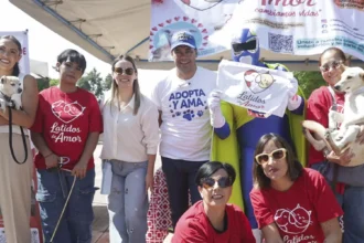 Aguascalientes Promueve el Bienestar Animal con Leo Montañez