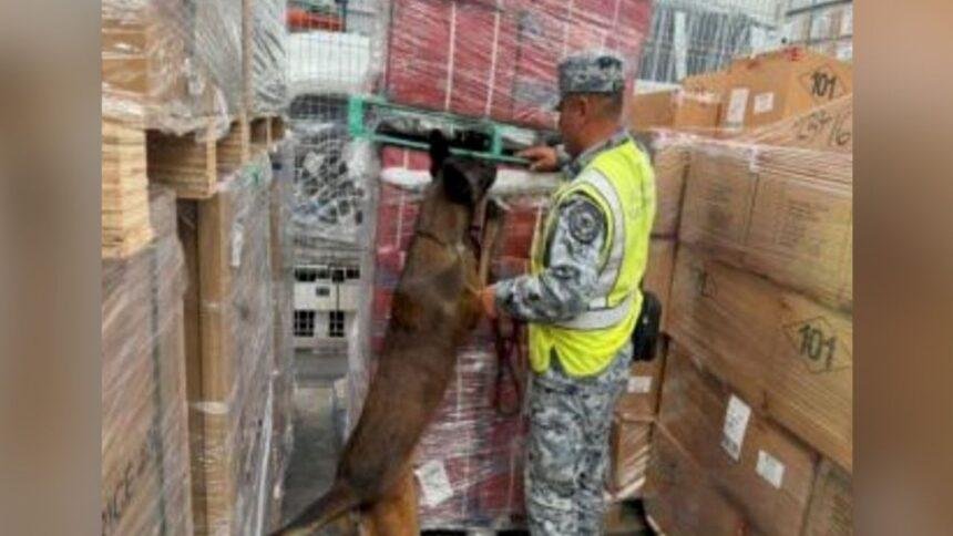 AIFA decomisa 84 mil cigarrillos apócrifos en envío procedente de Bélgica