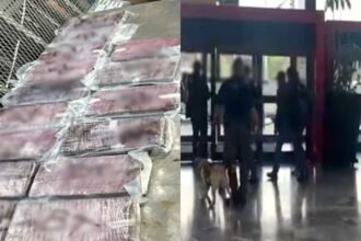 Aseguran 165 kilos de cocaína y arrestan a 11 en el aeropuerto de Tijuana