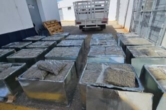 Aseguran 600 kilos de marihuana en equipos de aire acondicionado; un detenido