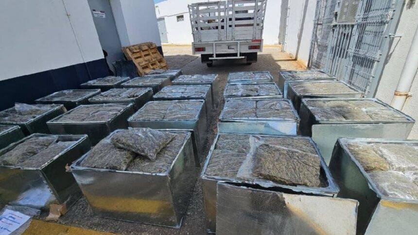 aseguran 600 kilos de marihuana en equipos de aire acondicionado Aseguran 600 kilos de marihuana en equipos de aire acondicionado; un detenido