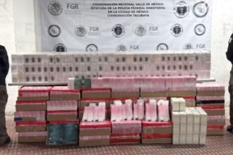 Autoridades catean almacén de perfumes falsificados y aseguran más de 2,400 piezas